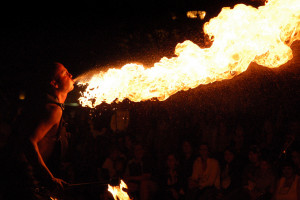 Busker's festival photo