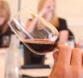 Bishops Cellar Wine-appreciation-course