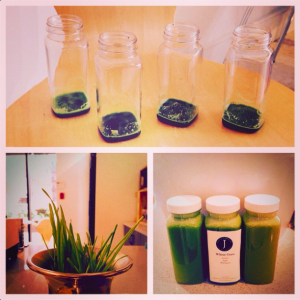 Juice Press Wheatgrass